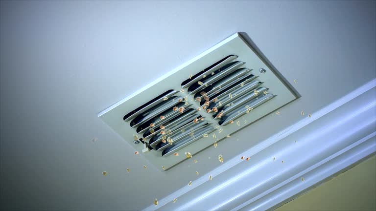 Best Commercial HVAC Duct Cleaning  in Mentor On The Lake, OH