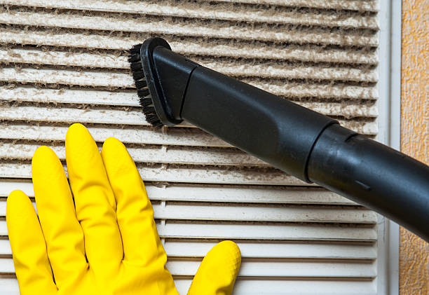 Best Professional Duct Cleaning Services  in Mentor On The Lake, OH